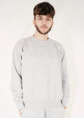 Heavy Blend Fleece Crew-Neck SweatShirt